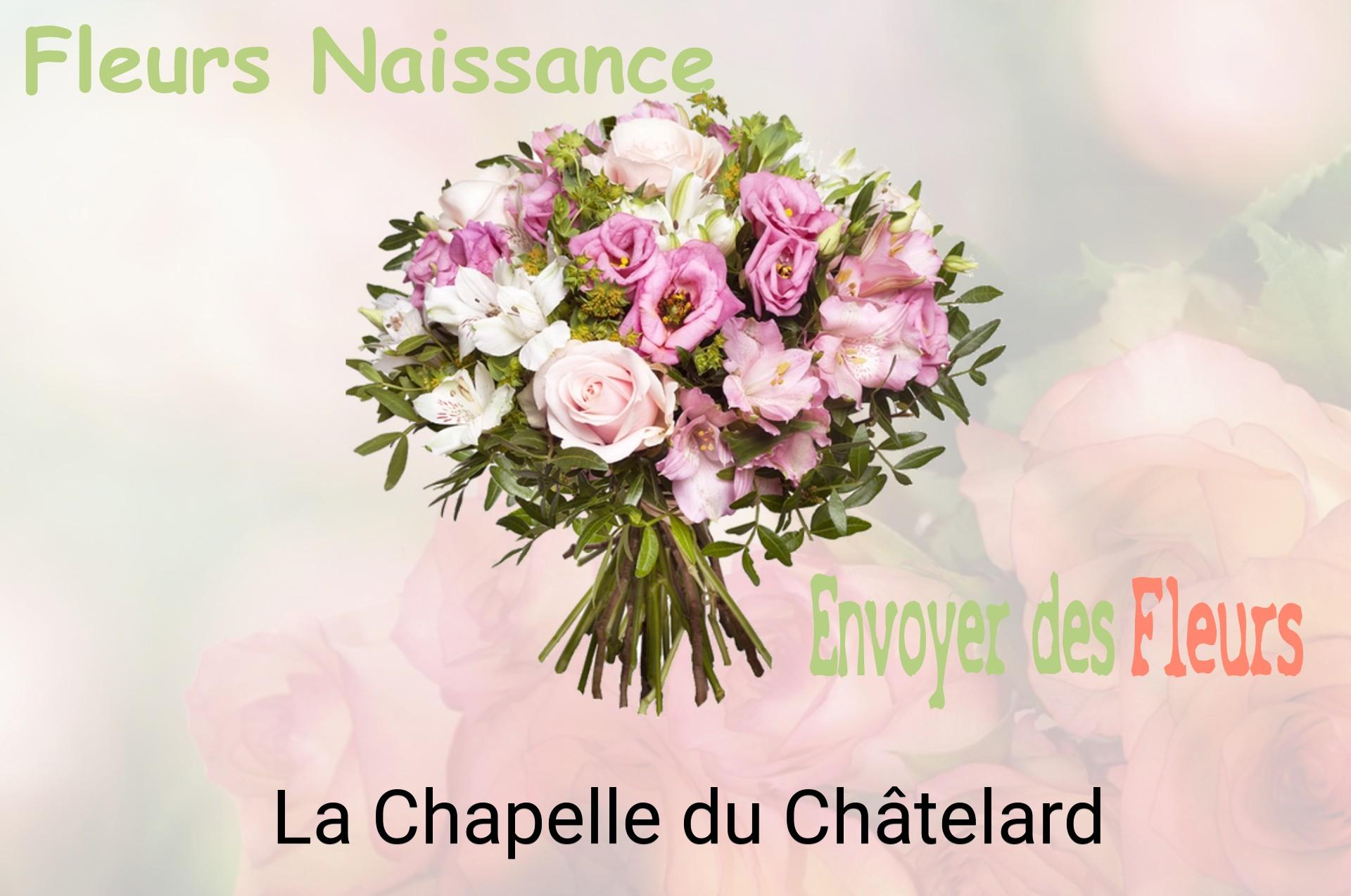 Bouquet de fleurs de naissance livré à La Chapelle-du-Châtelard